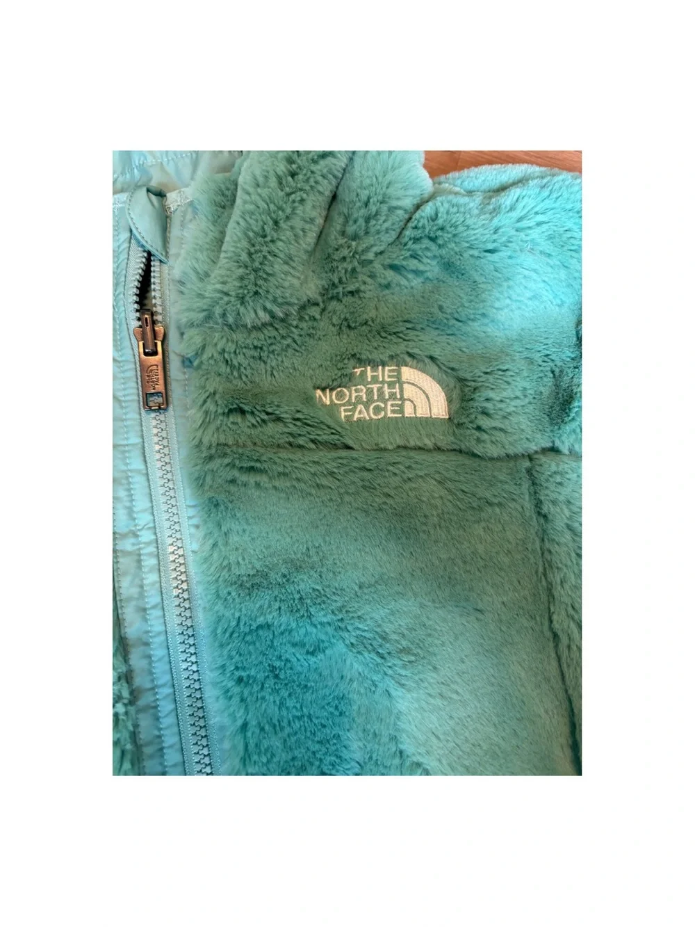 The North Face Turquoise Plush Hooded Fleece Jacket
